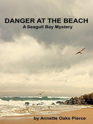 cover image of Danger At the Beach (A Seagull Bay Mystery)